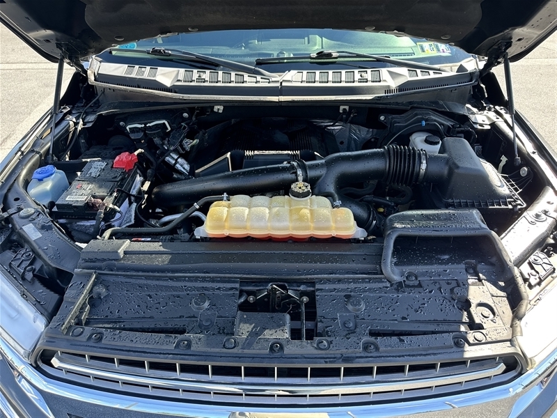 2019 Ford F-150 XLT photo 11