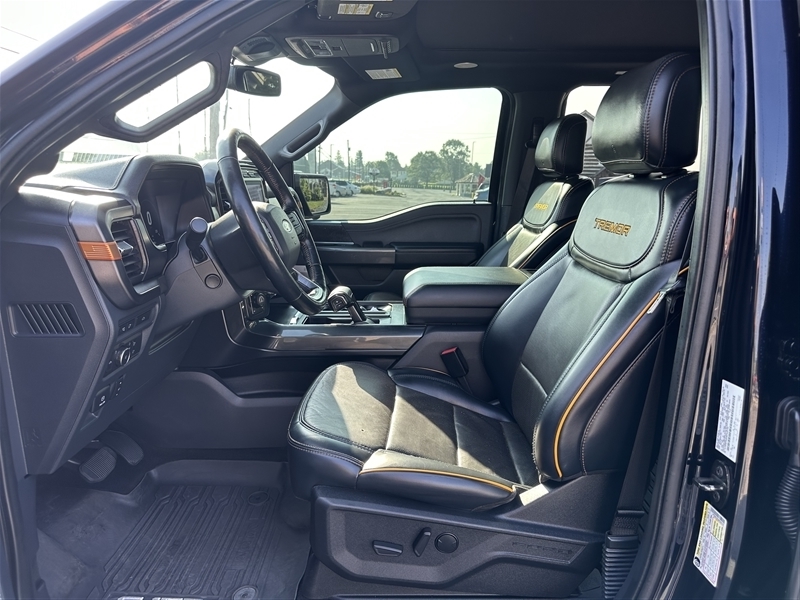2022 Ford F-150 Tremor photo 13