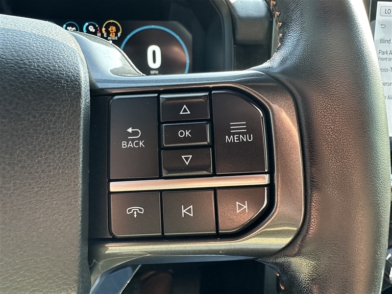 2022 Ford F-150 Tremor photo 18