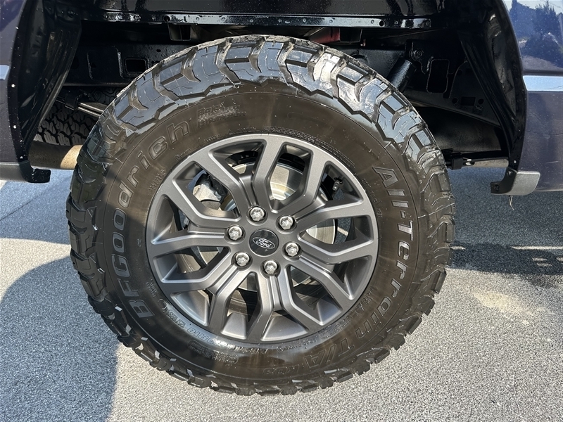 2022 Ford F-150 Tremor photo 56